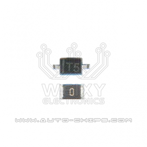T5 2PIN & 0 ohm resistor for Porsche BCM